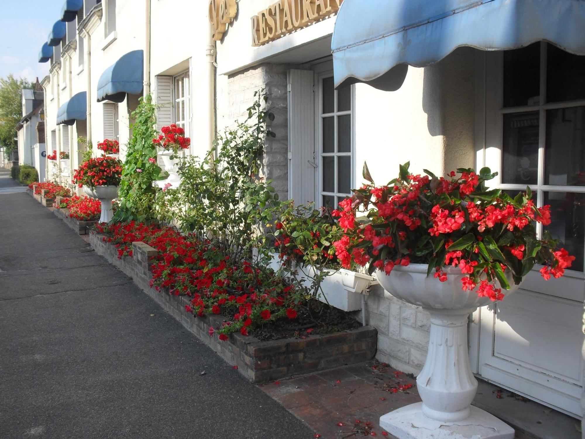Contact Hotel De France Contres-Beauval-Cheverny Le Controis-en-Sologne Bagian luar foto
